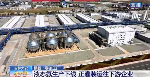 零碳工廠 新能源“就地生金”，全鏈條綠色消納體系引領未來